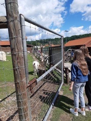 Wycieczka do Parku Jurajskiego w Bałtowie